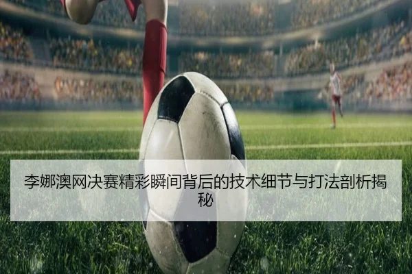 李娜澳网决赛精彩瞬间背后的技术细节与打法剖析揭秘