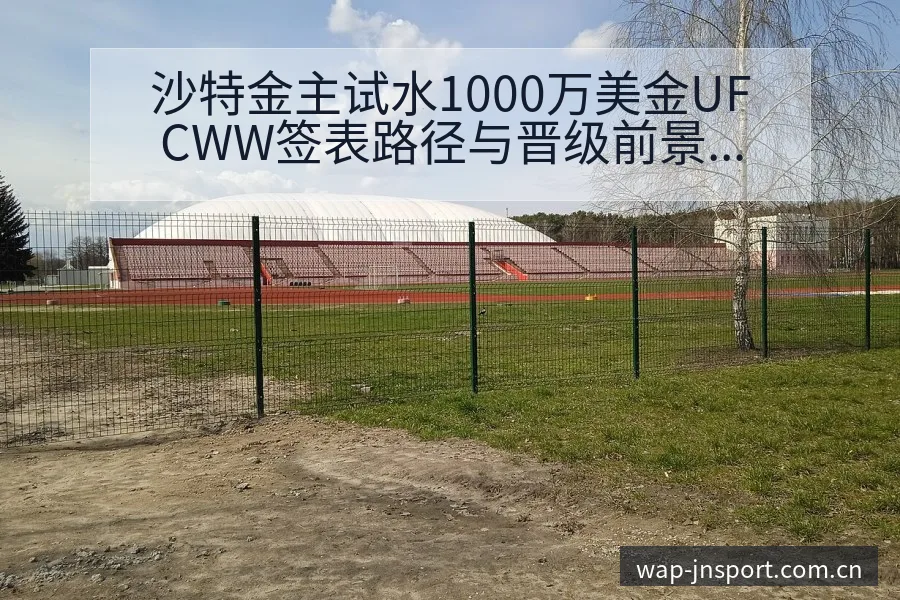 沙特金主试水1000万美金UFCWW签表路径与晋级前景阵 - 江南体育